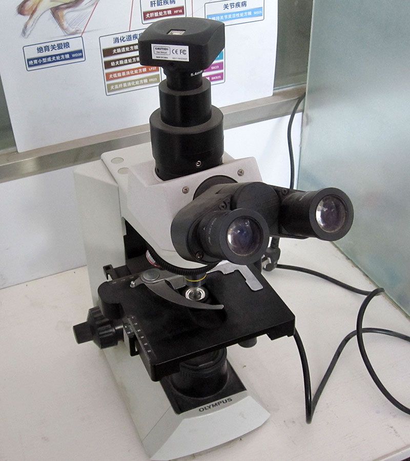 迁安小精灵宠物诊所-4-进口专业可视显微镜.jpg